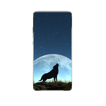Zadní kryt pro Samsung Galaxy J4 Plus (2018)