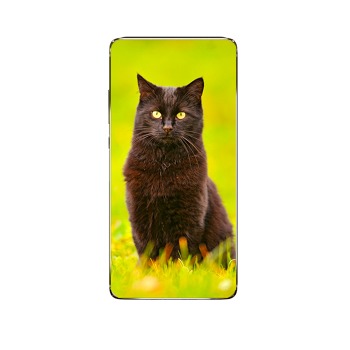 Obal pro telefon - Zelenooká kočka