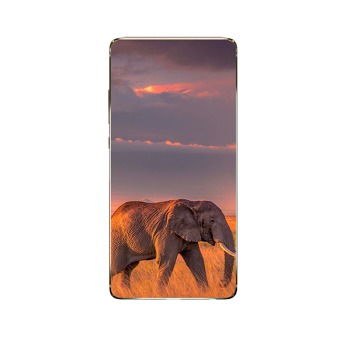 Obal pro Honor 8S (2020)
